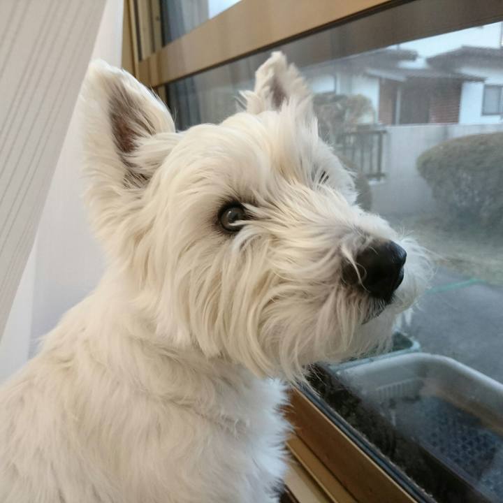 039571c3 ff4e 4d74 95fb c7f89d2d4fd2