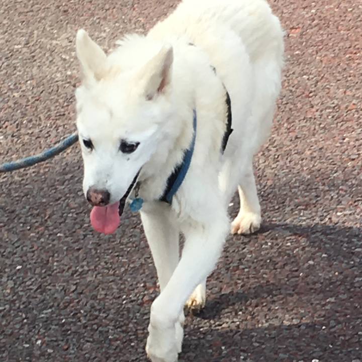 03959325 2f6d 4973 86d2 25706d969e69