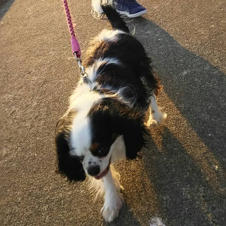 0395cb13 9c81 4f3d 9b42 f19aa3ad4640