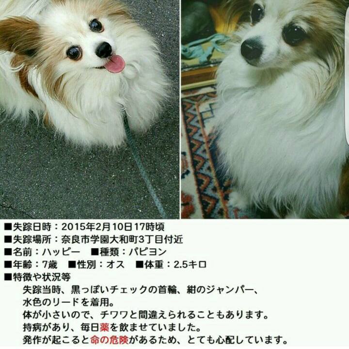 0396cb79 67fb 4100 b5ae 326b42e194c3