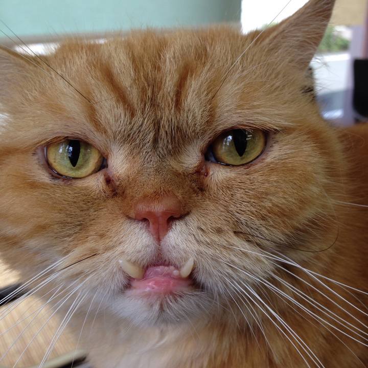 0396e5a2 74d5 4973 a4d7 edc71907600b