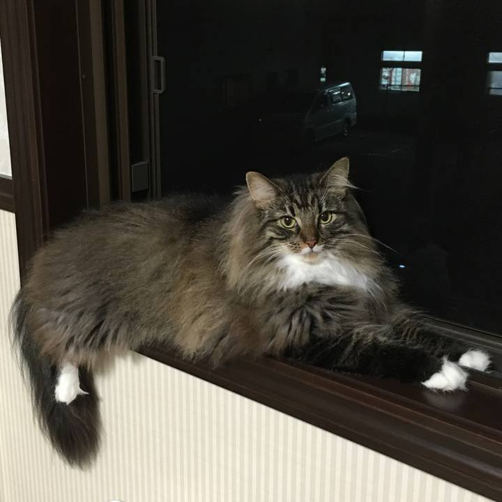 0397101e 8cb9 4c1f b89f 454d7d84e895