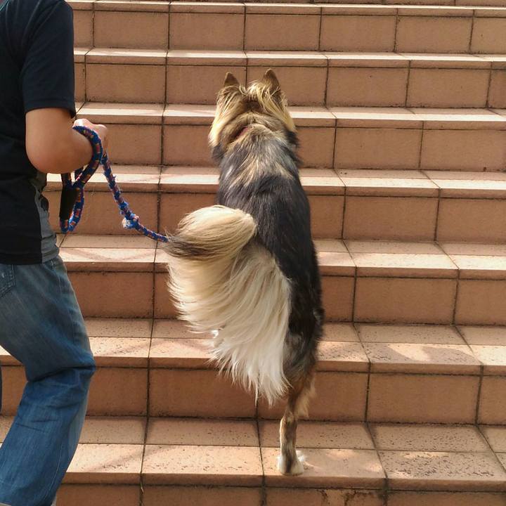 03976ce7 28a8 4575 89e5 cc2703ee3b70