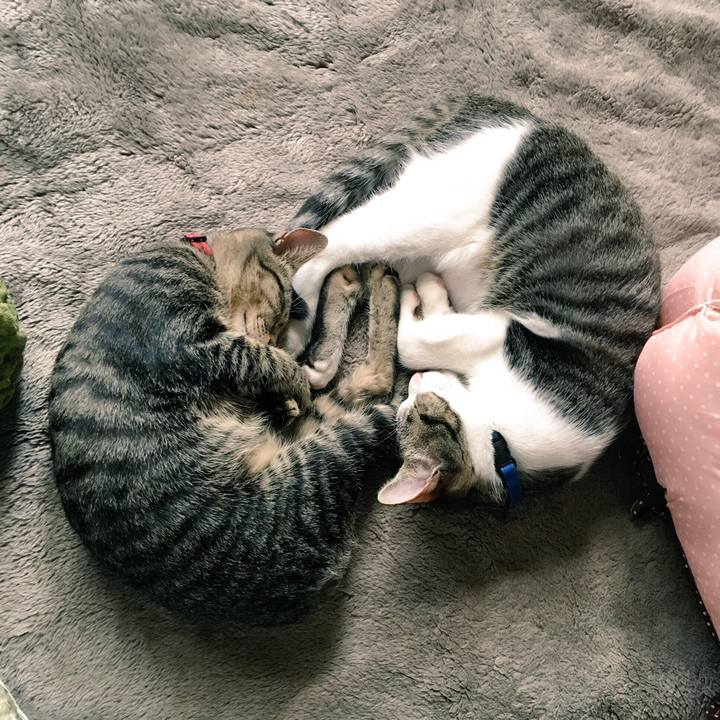 03978076 9953 472a 85a3 f990bae696ae