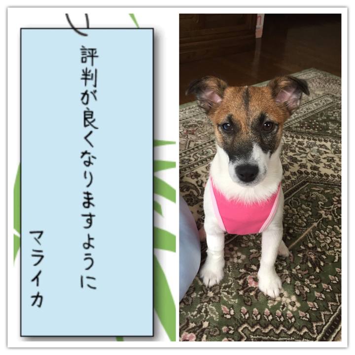 03988ea7 4f9c 441c af3d 3a71371c9333