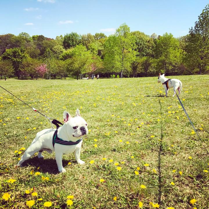 03989a01 ff0a 457c 9e73 0b0b1d88aa27