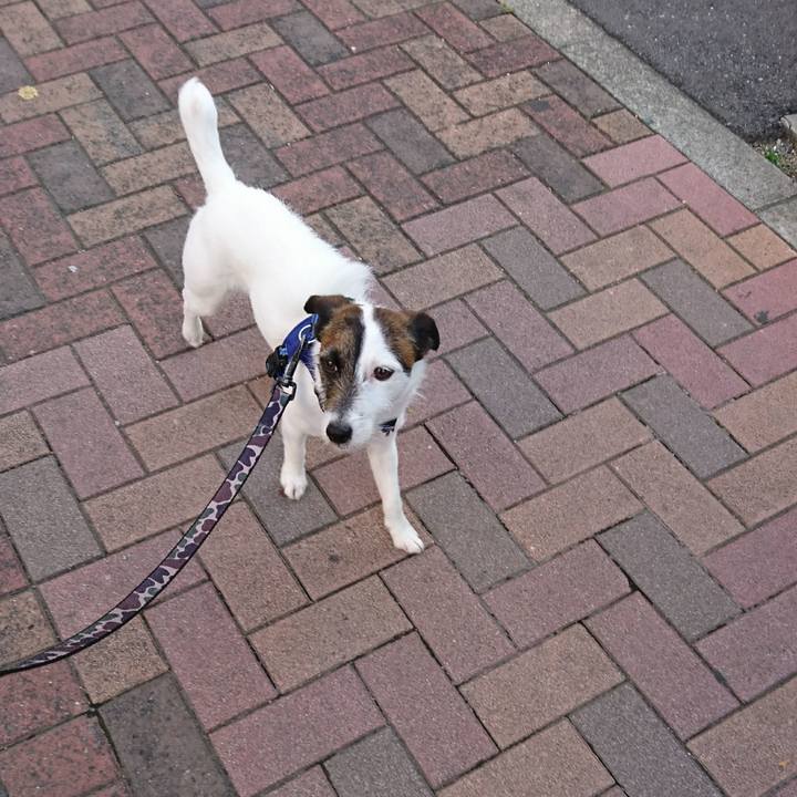 0398b7b7 74b9 4983 b514 e74a6265870c