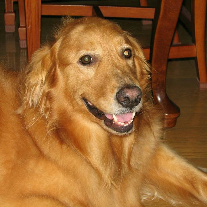 03994588 b005 4486 8328 3b523d331c85