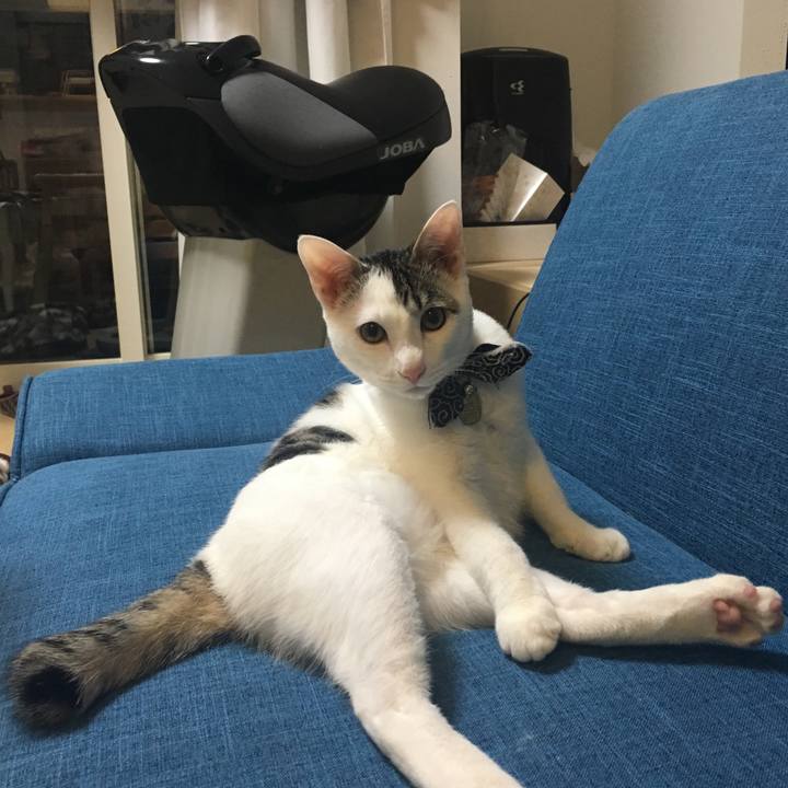 03996bff d970 4d58 8047 d546d4fdccf5