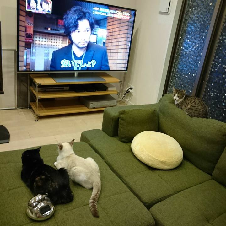 039a62a5 6cd6 4844 ad91 2a7edd0306bd