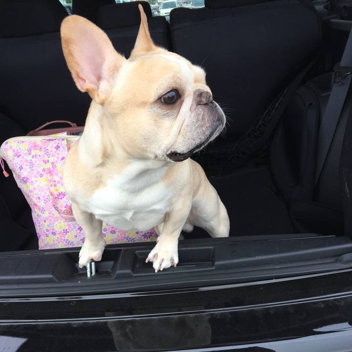 039af0a9 6504 4675 8295 dcb1a8e62a40