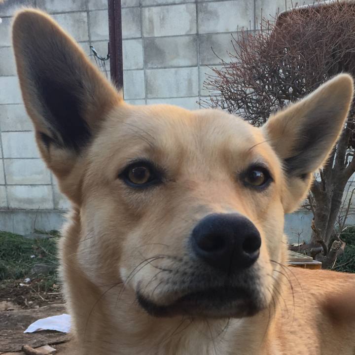 039af38f 440a 4768 abc9 e2c7f304c545