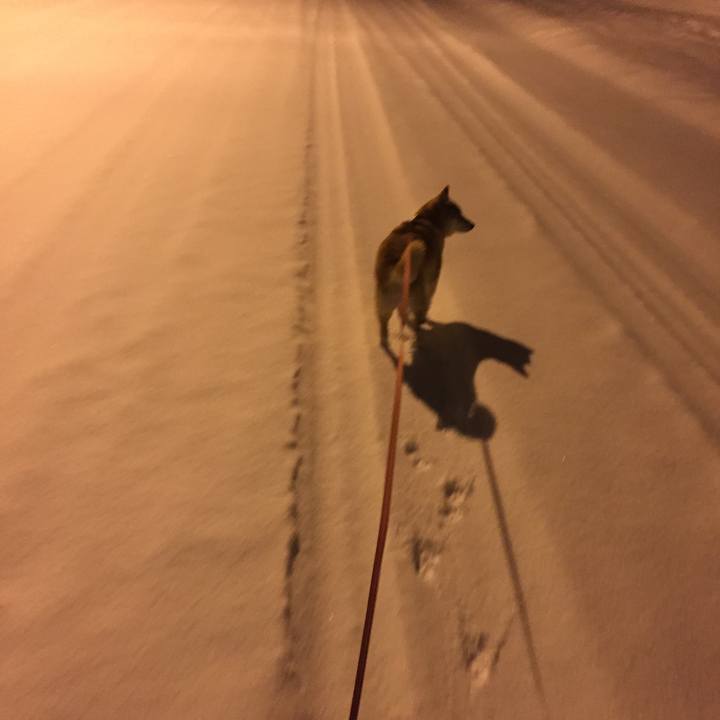 039b1cb3 5c0d 440b bd9d fac0ca315226