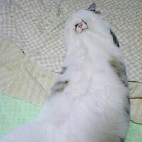 039bee86 8a86 45d8 84f6 b848cdea3a32