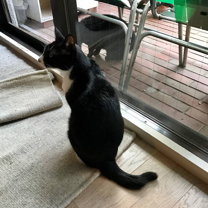 039c3083 5f4f 4811 97c0 27097fd487a4