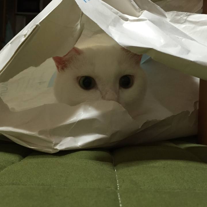 039c9ed8 3178 4819 93e3 355180daa772