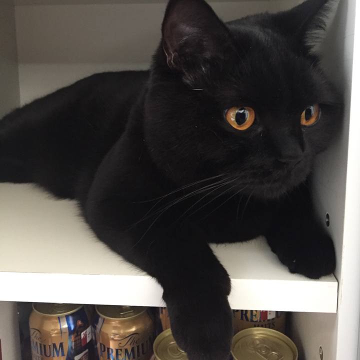 039d52c8 2eb0 4df1 aad0 b480df4c2afa