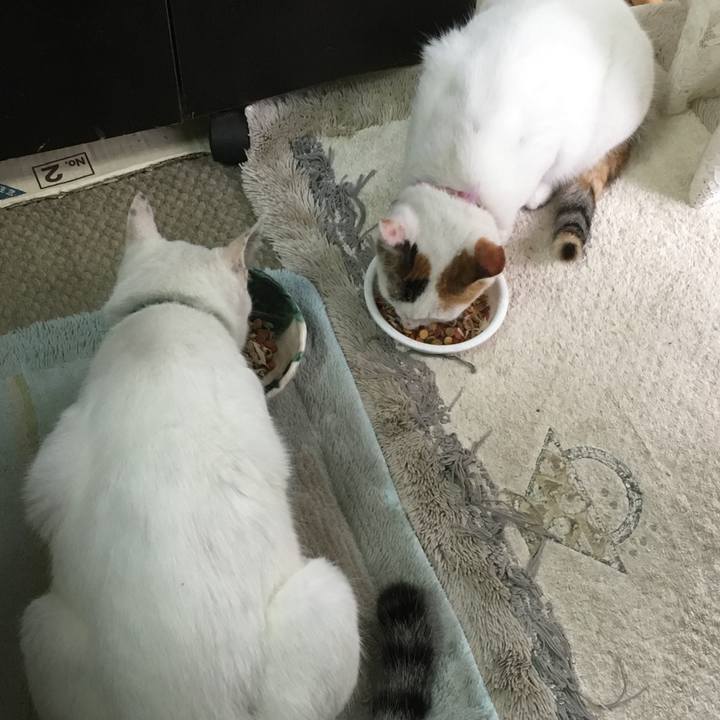 039d5393 f26a 4fff be42 f1a062912ae2