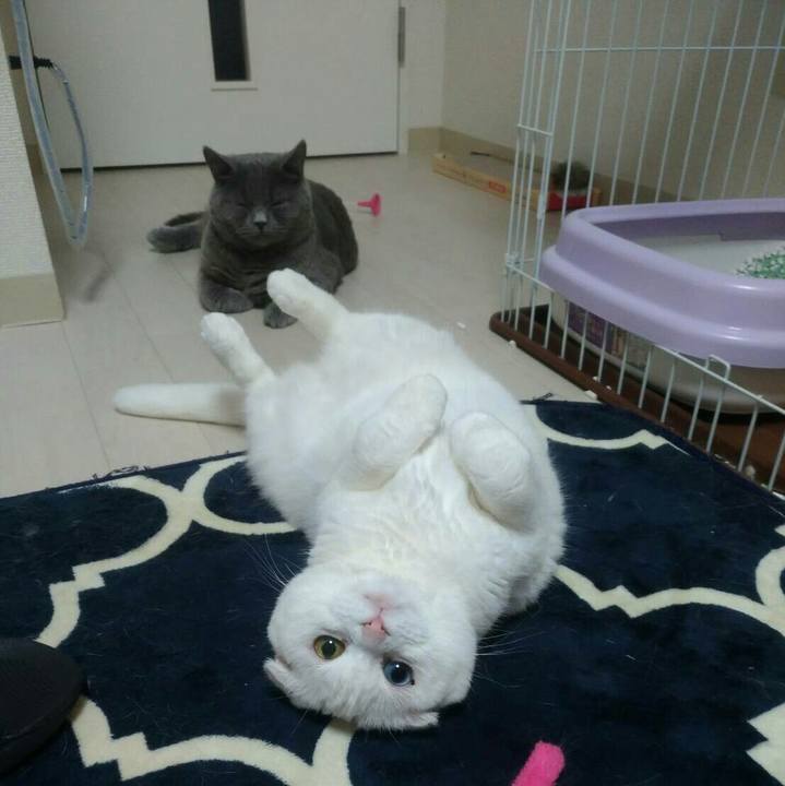 039d5cf7 ca1a 42c6 8d4f a9ae76af706f