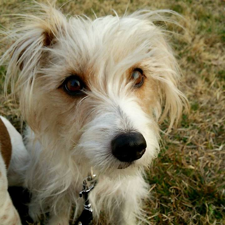 039e47d1 f711 471b b9a6 22c469d2f80a