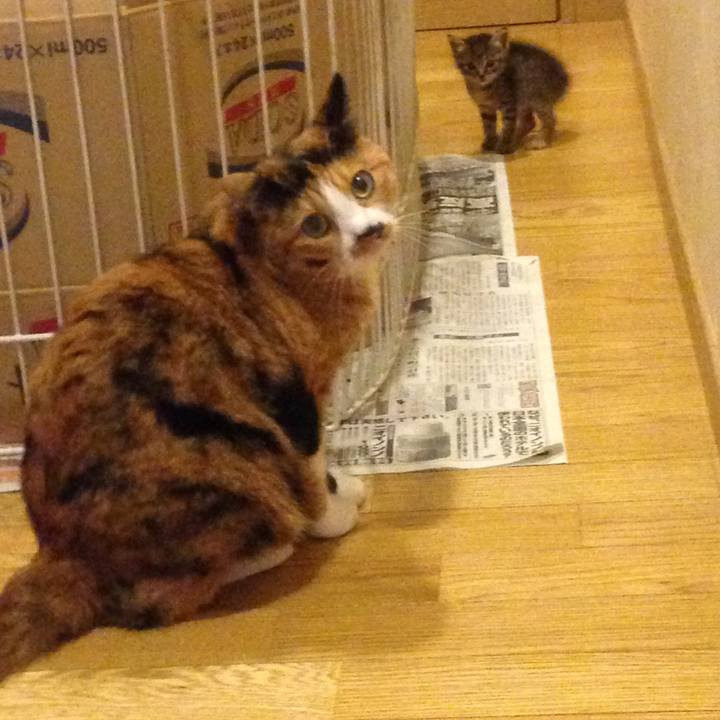 039e8ccb 2687 41de a485 8ab097c89bbb