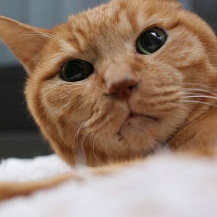 039f7656 9e90 4ad2 8f10 791ba5129f11