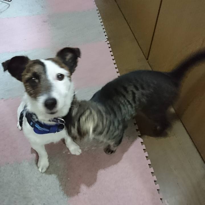 03a048be 276c 4266 83dd 62b00871d42c