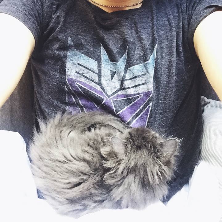 03a10eb9 7a96 44c7 8dac 7049d145004a