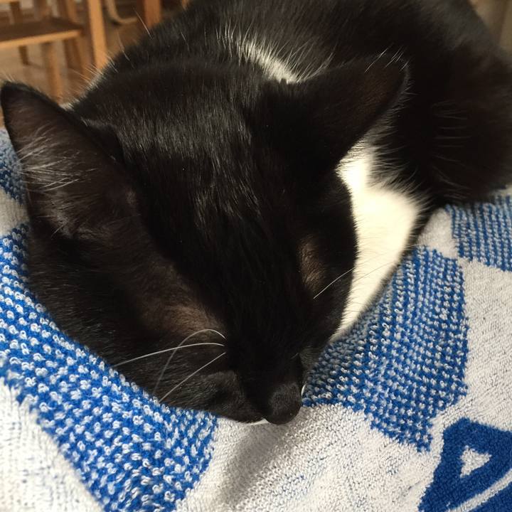 03a1362c 629f 48f7 80e4 81c511be79ce