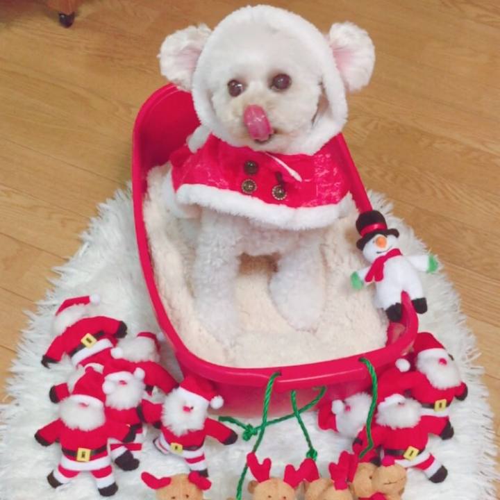 03a13f15 aeff 4ea3 a86a dae93b133461