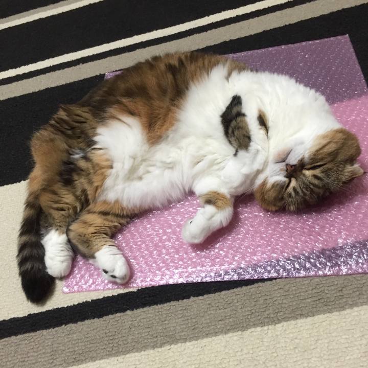 03a177c7 2fe4 48ec 9f83 41383d9f300f