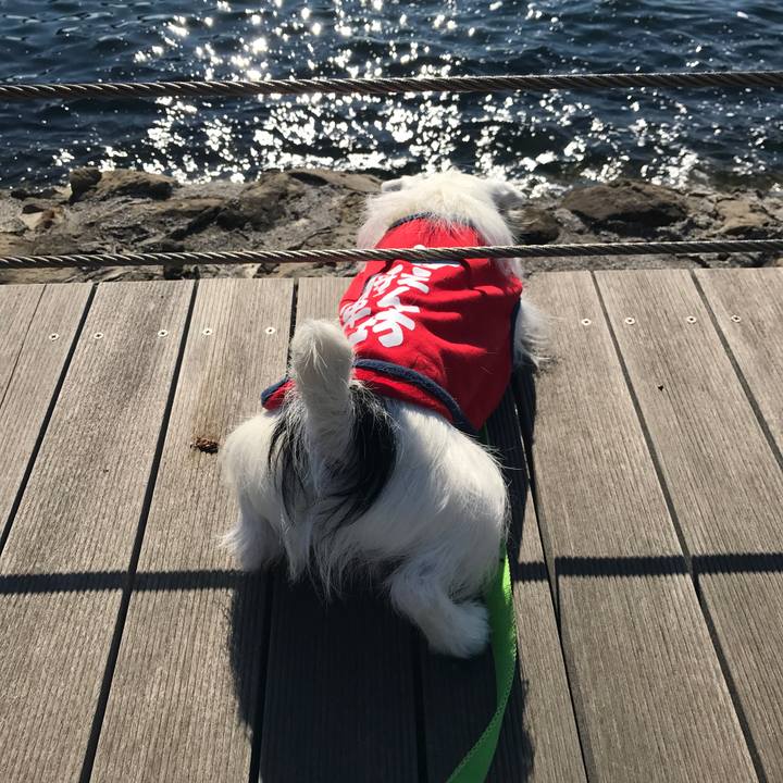 03a17817 9b51 40d1 9e7f 775e1692c868