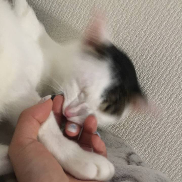 03a28060 c6ff 433c b593 7cb88d8515d5