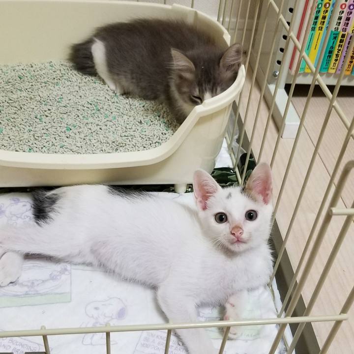 03a3078b 16ff 4822 8e4a eb50657856f4