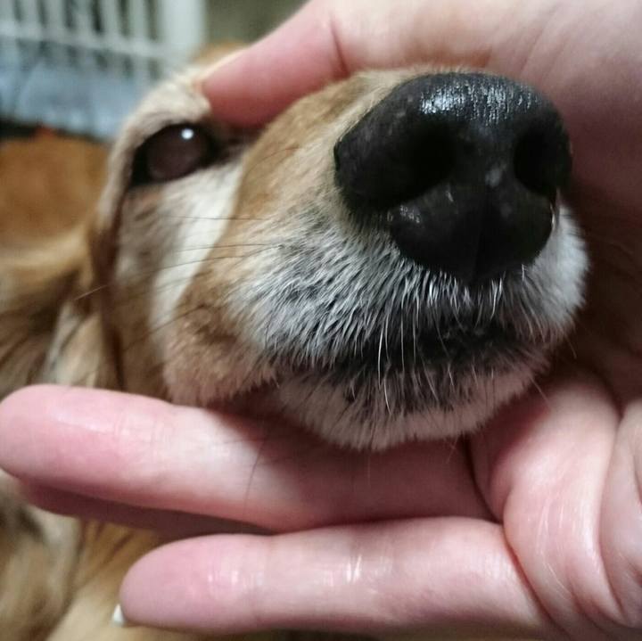 03a35782 01d4 4b87 864e 0da81bec2ad6