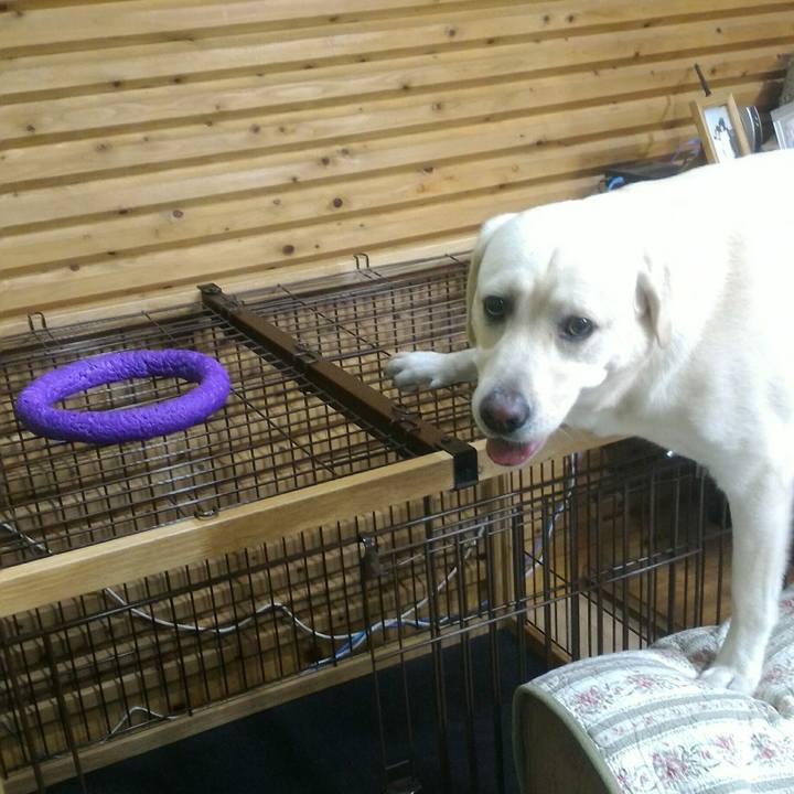 03a36ad7 3874 4407 846a 4998dd050a48