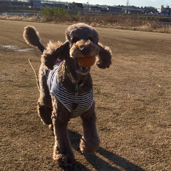 03a3d021 04eb 40b7 b3f9 03cc94bfbb20