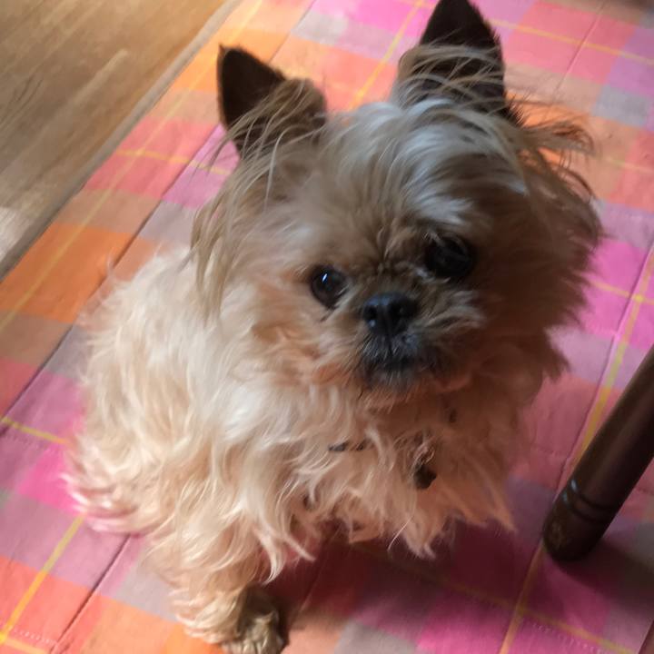 03a3f0a2 847a 42f2 90ba 9459769b1e23