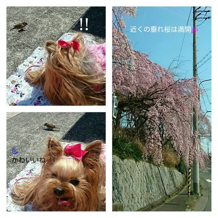 03a3f356 b5b8 4f25 9d45 3056b8b6b8b4