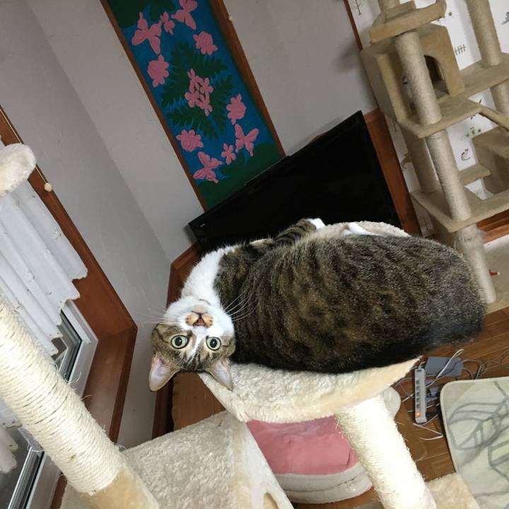 03a41e9a 4ac6 422f bce9 fdb7fa0168ed