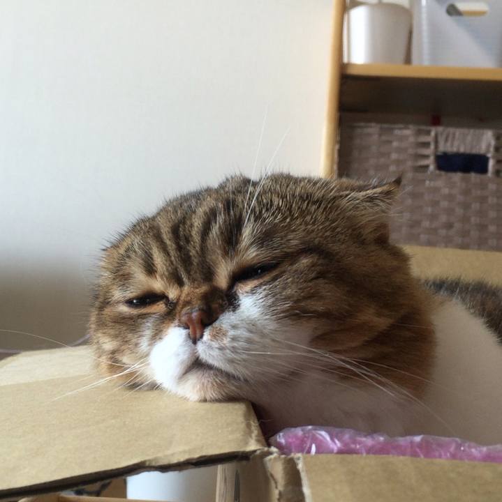 03a4529e 7b4c 4409 8ec6 aadaab382d9e