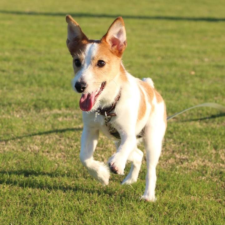 03a4cef2 9b55 4064 ac4e 4b44667ebf65