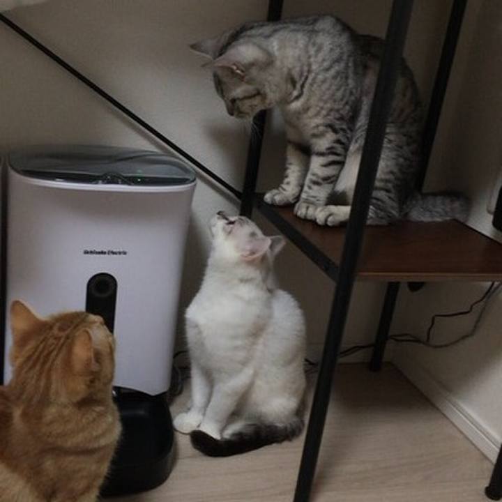 03a4f5a1 3856 43d6 9212 567302cb3c94