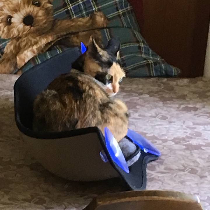 03a51258 f419 48fb a903 5cd5c5b154d1