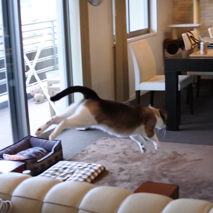 03a567a4 ed4b 4ab7 a03c 0ac83b504a68