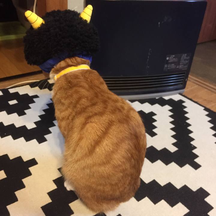 03a5ace1 bf74 453b 9a60 7f4df1e5ea0c