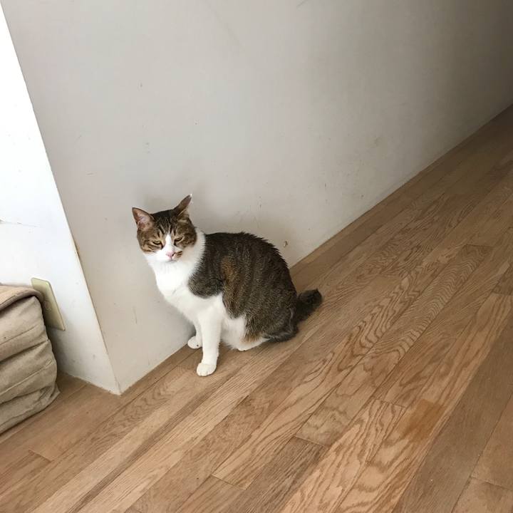 03a645e5 4908 4d9d 99bc 92d41f9846e1