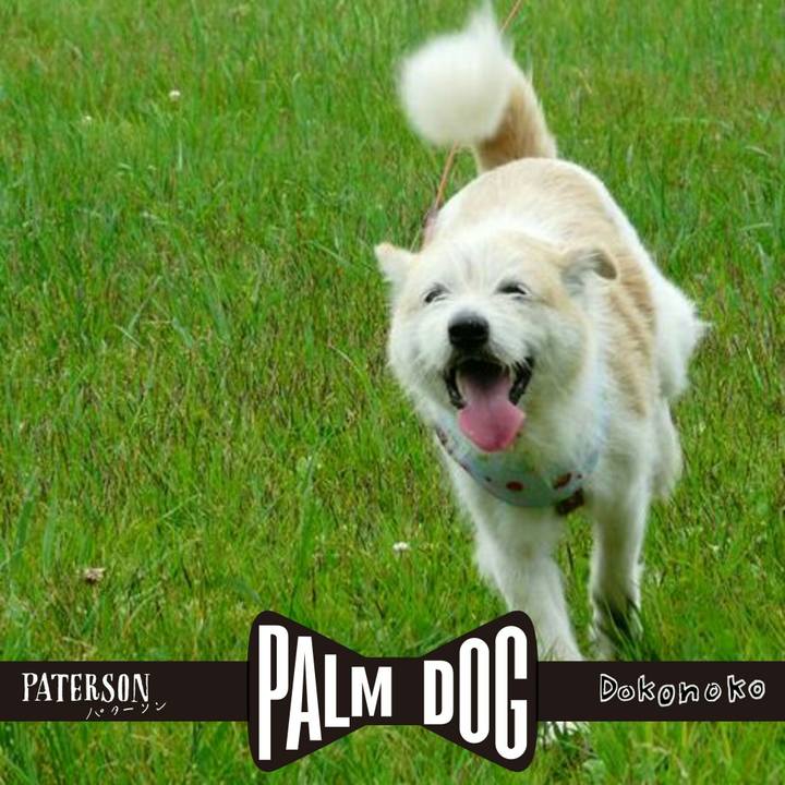 03a6a71a 138b 4615 b68a 6a368330d99c