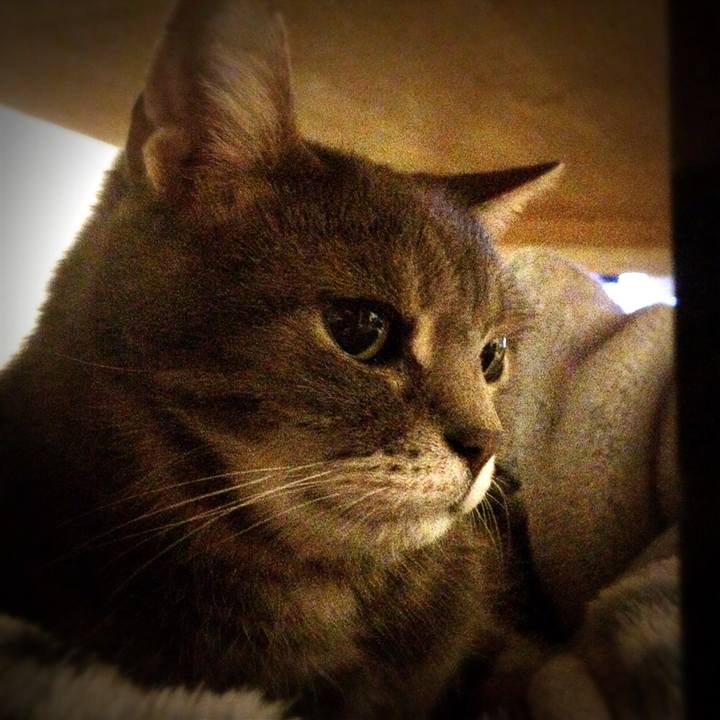 03a6c876 55a8 4fa9 9775 d9a9ff60f1b9