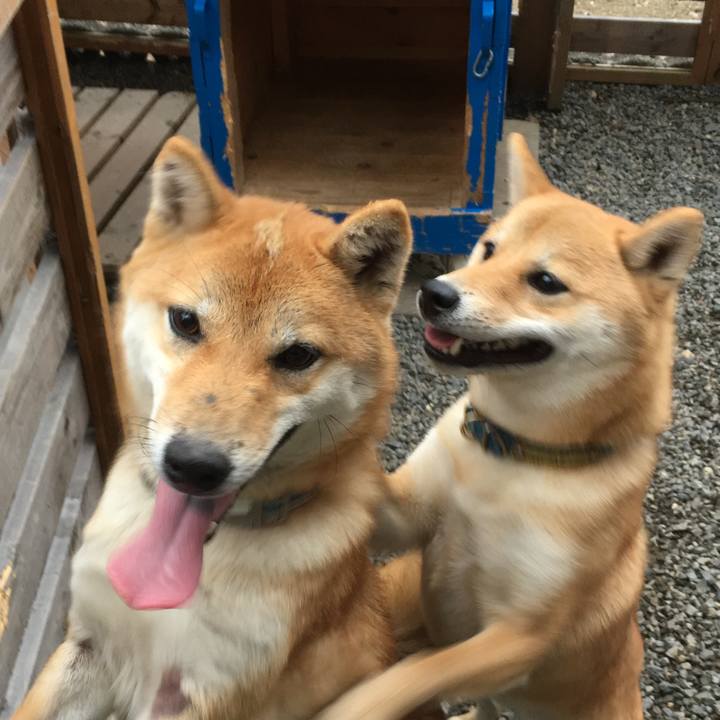 03a71b14 25b2 49a5 a686 676b9810e5bd